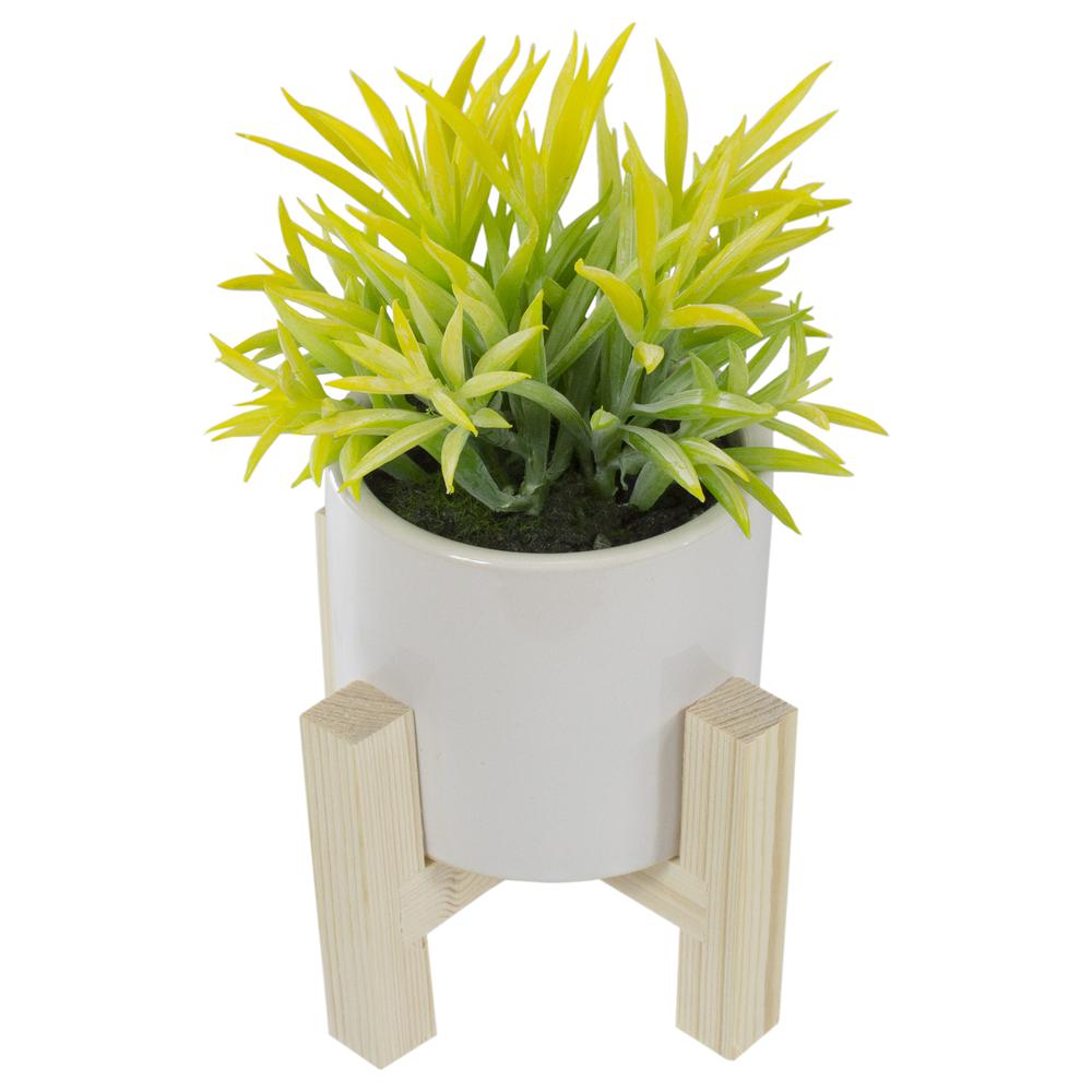 8" Potted Green Artificial Succulent with Wooden Stand. Picture 5