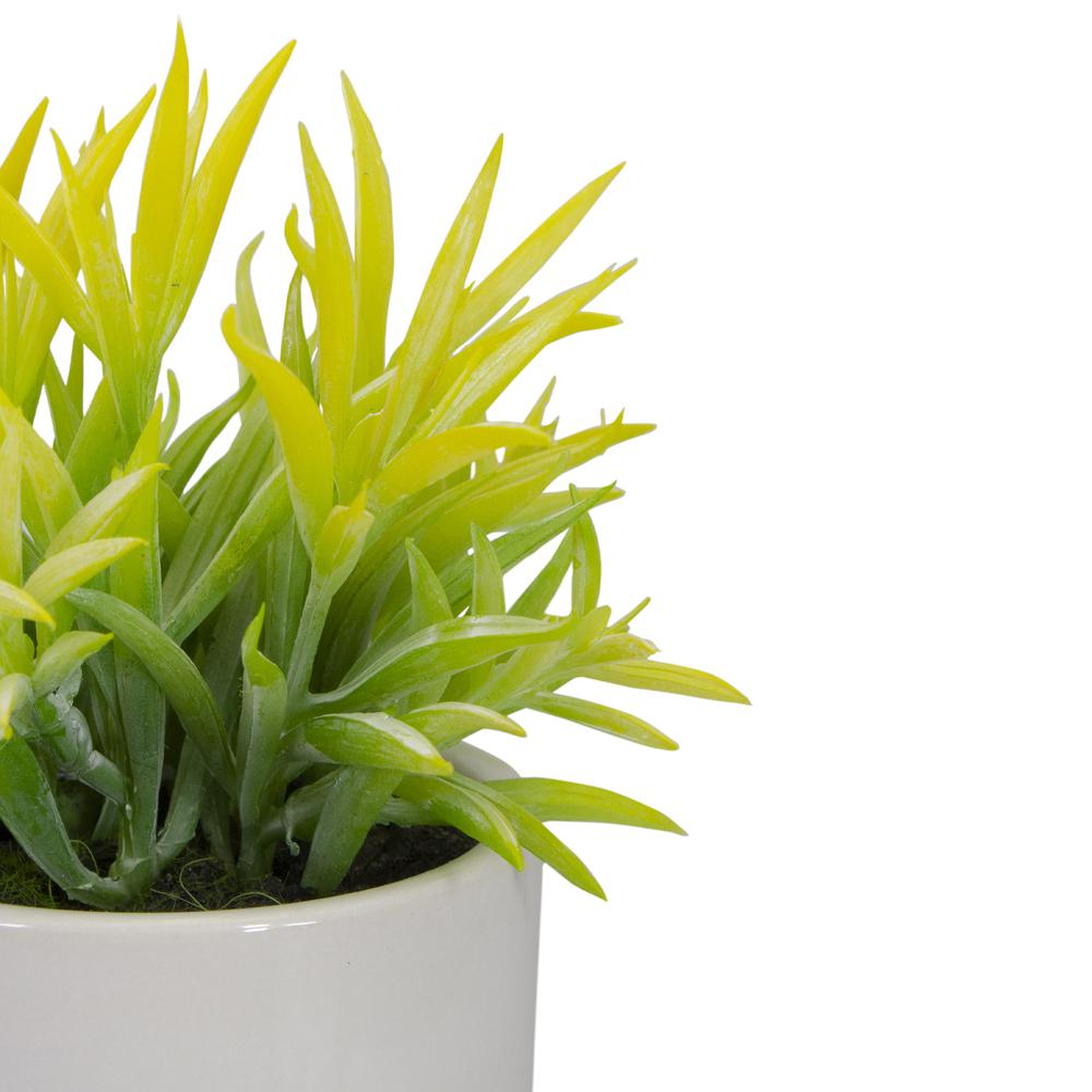 8" Potted Green Artificial Succulent with Wooden Stand. Picture 4