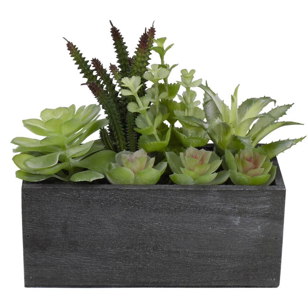 10" Artificial Mixed Succulent Plants in a Rectangular Planter. Picture 4