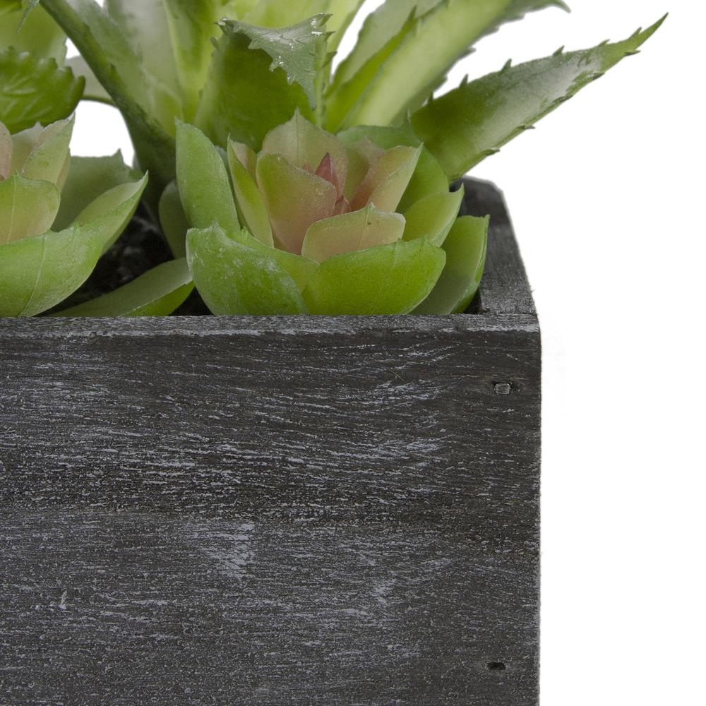 10" Artificial Mixed Succulent Plants in a Rectangular Planter. Picture 5