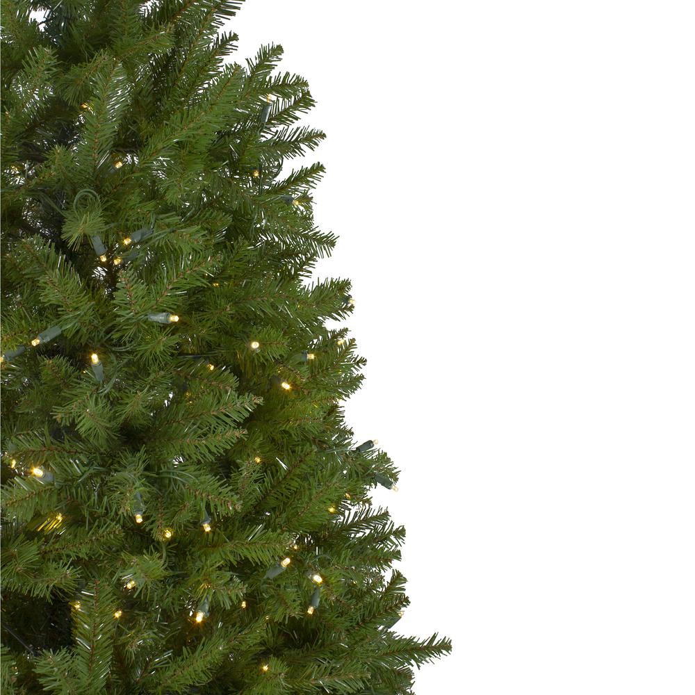 14' Pre-Lit Northern Pine Full Artificial Christmas Tree - Warm White LED Lights. Picture 4