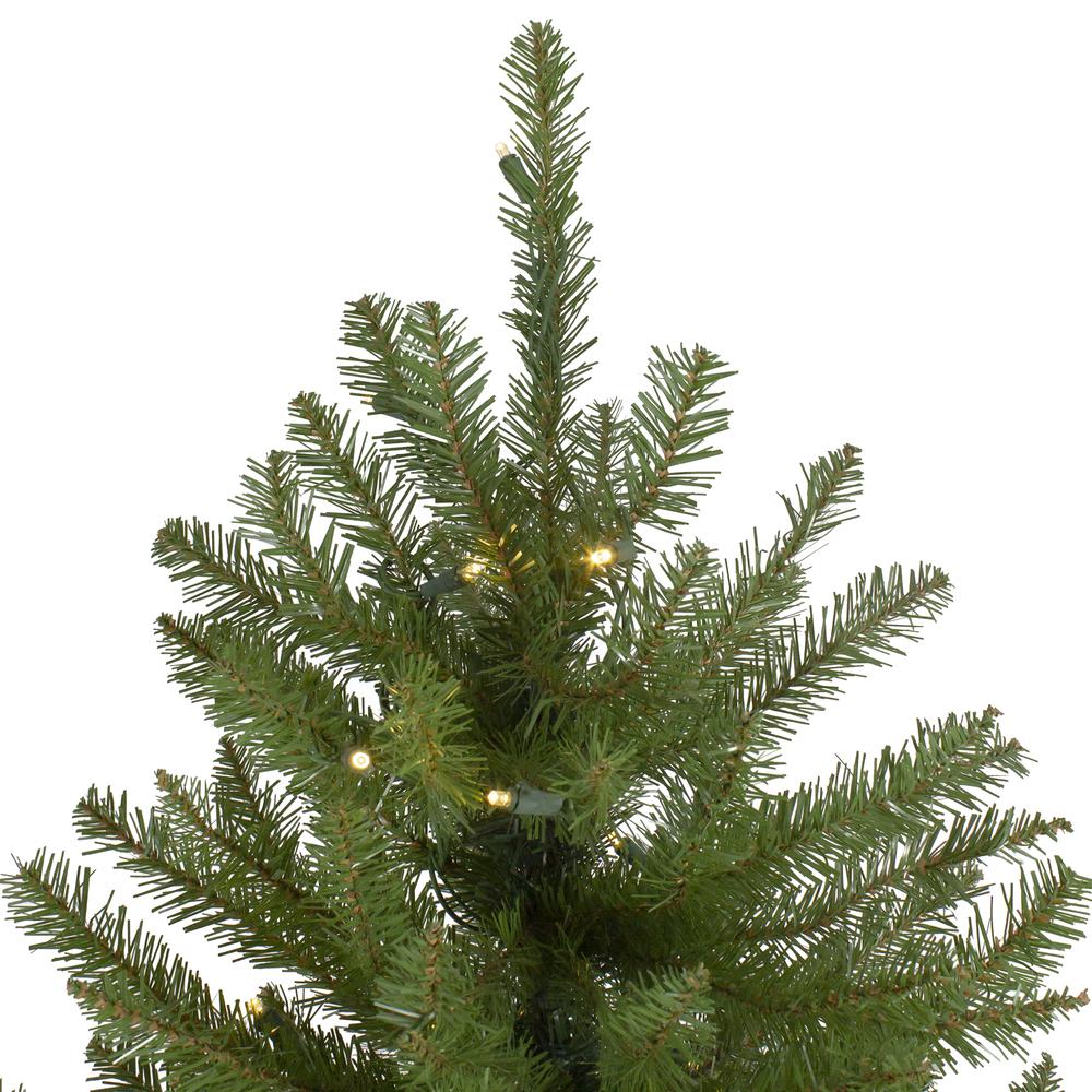 14' Pre-Lit Northern Pine Full Artificial Christmas Tree - Warm White LED Lights. Picture 3