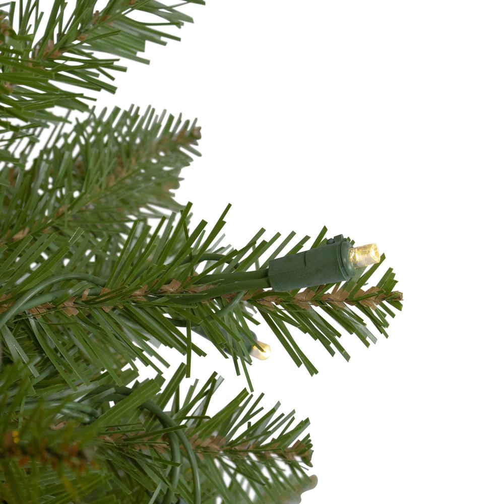 14' Pre-Lit Northern Pine Full Artificial Christmas Tree - Warm White LED Lights. Picture 2