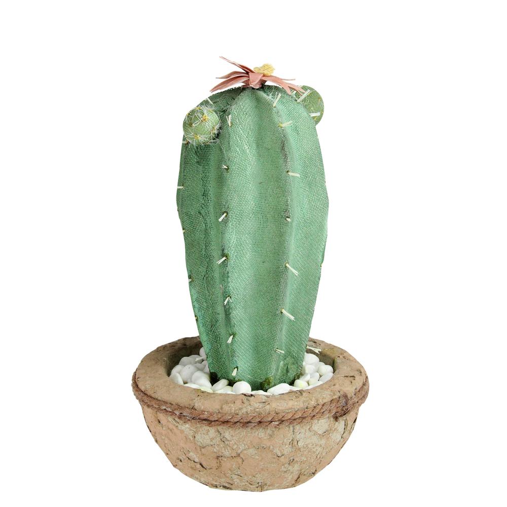 13.75" Potted Green and Brown Artificial Cactus Plant with Flowers. Picture 2