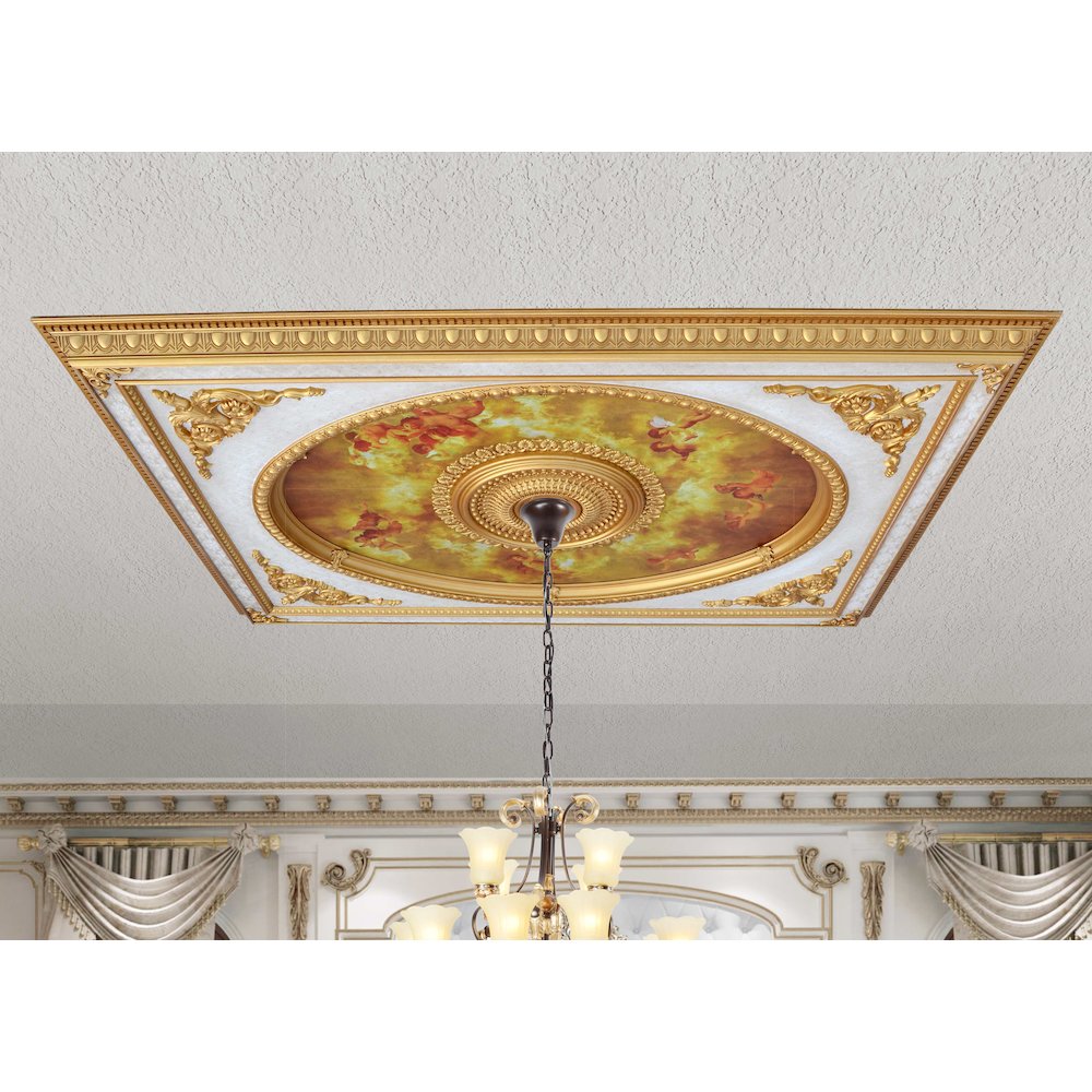 Classical Design Rectangular Ceiling Medallion 6ft x 8ft. Picture 1