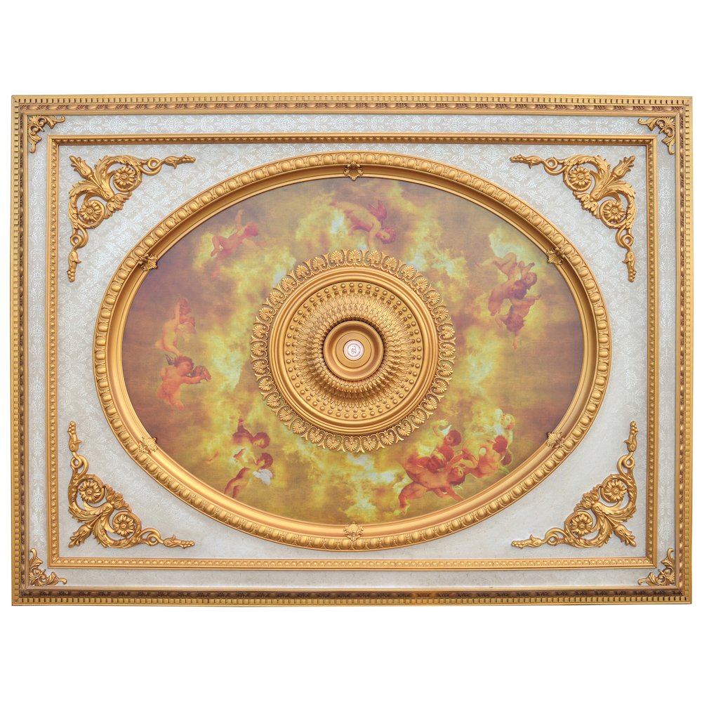 Classical Design Rectangular Ceiling Medallion 6ft x 8ft. Picture 2