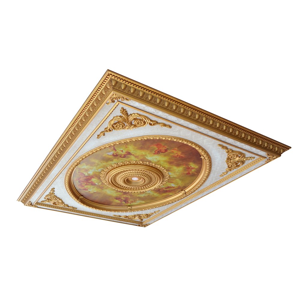 Classical Design Rectangular Ceiling Medallion 6ft x 8ft. Picture 3