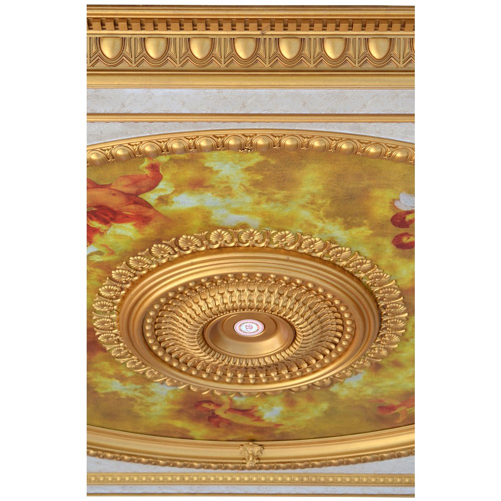 Classical Design Rectangular Ceiling Medallion 6ft x 8ft. Picture 4
