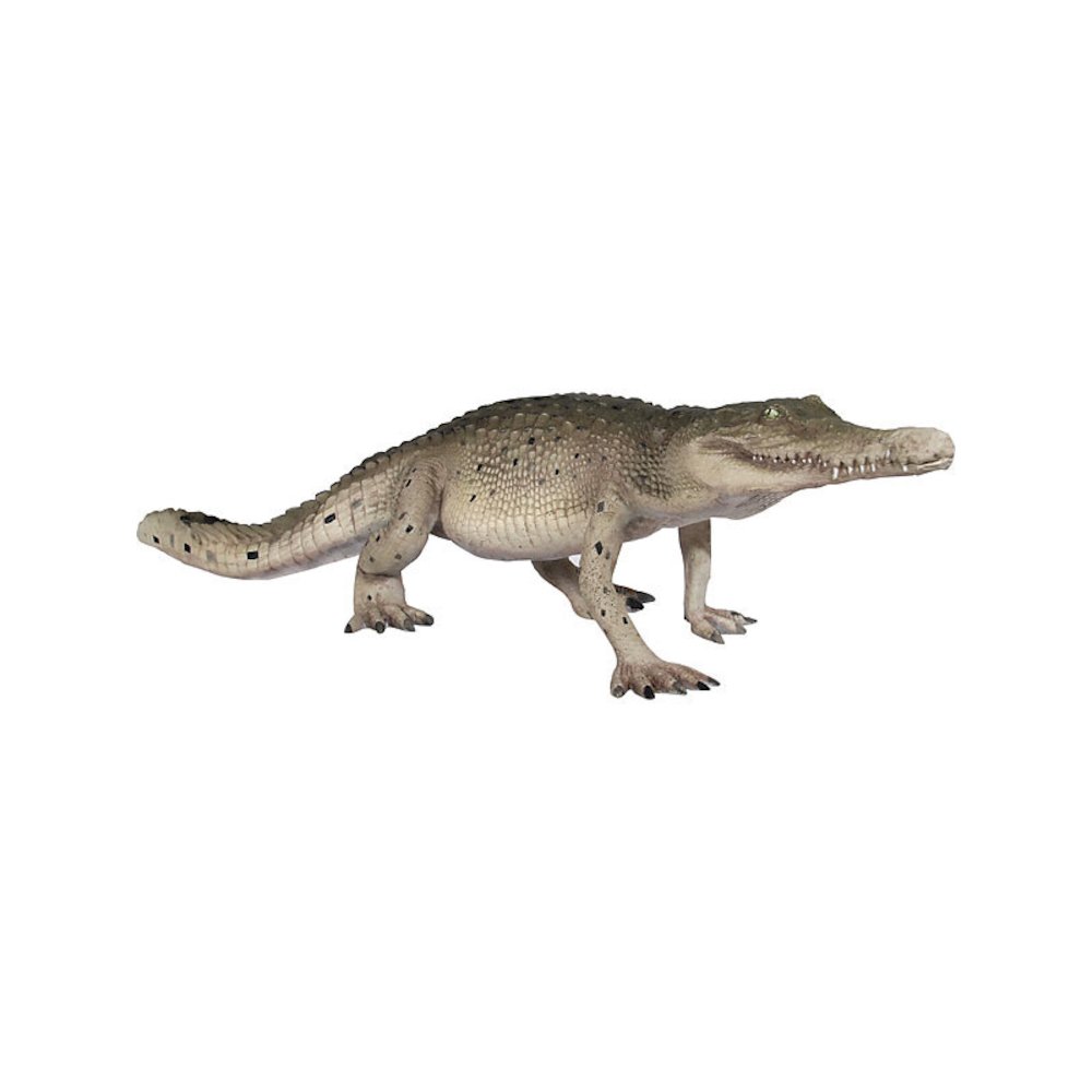 Crocodile Walking 4Ft. Picture 1