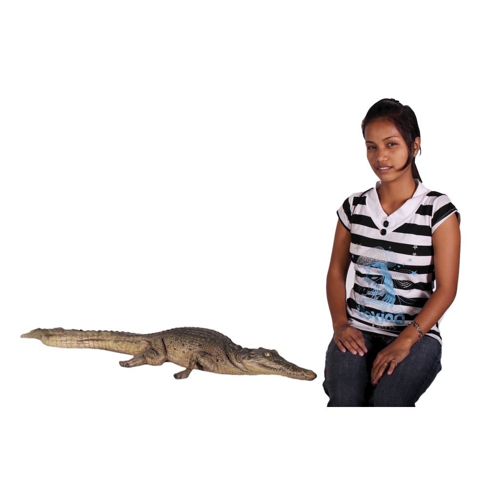Crocodile Walking 4Ft. Picture 2