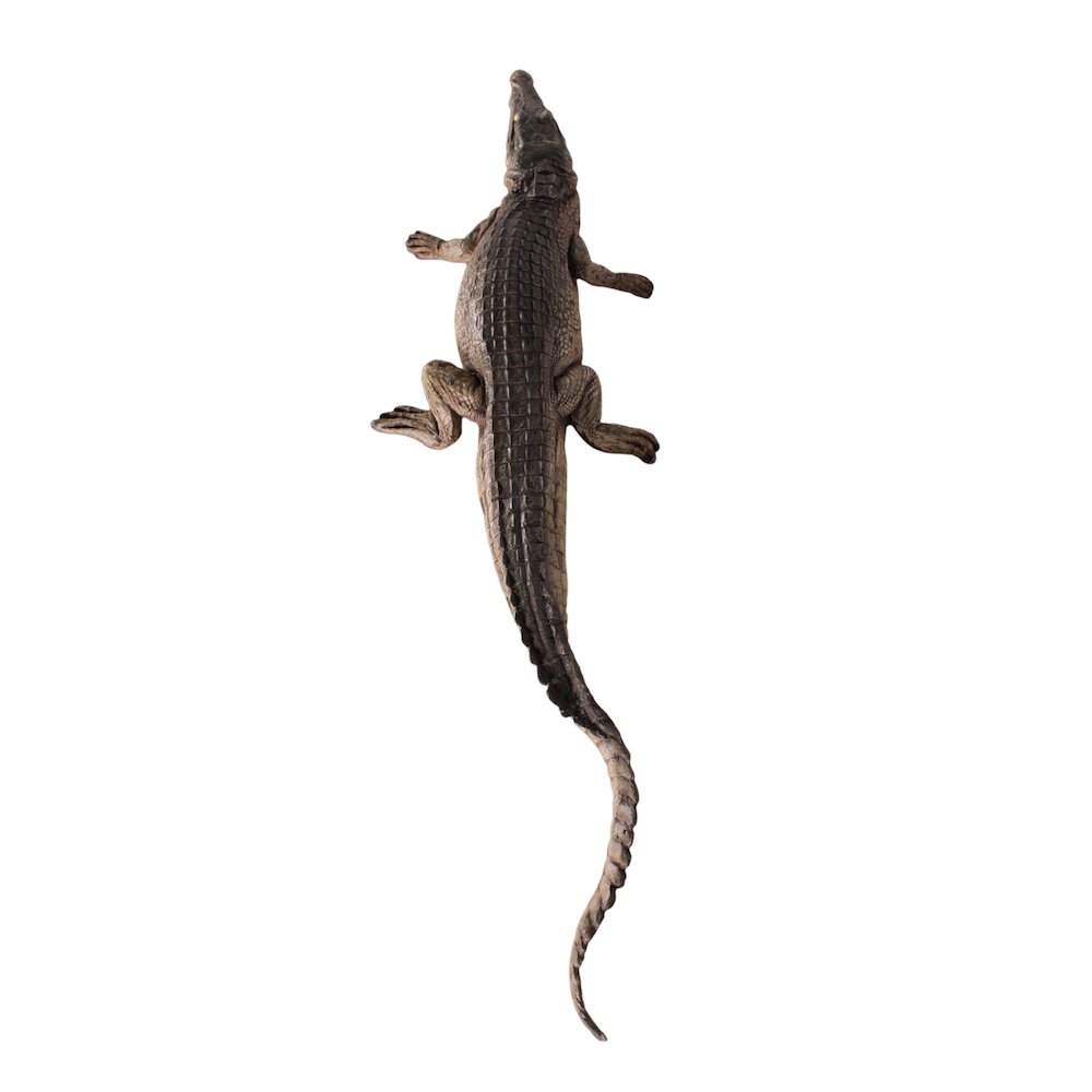 Crocodile Walking 4Ft. Picture 4