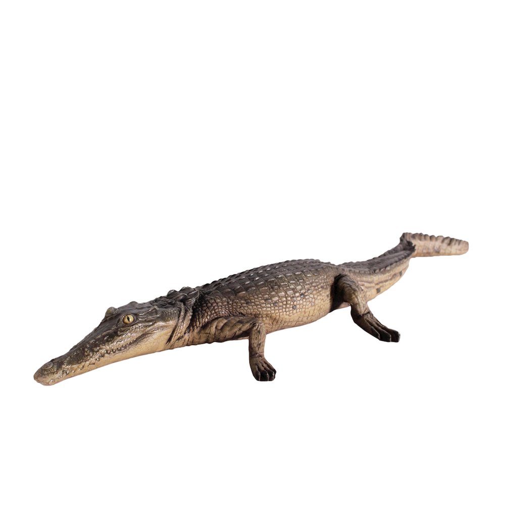 Crocodile Walking 4Ft. Picture 5