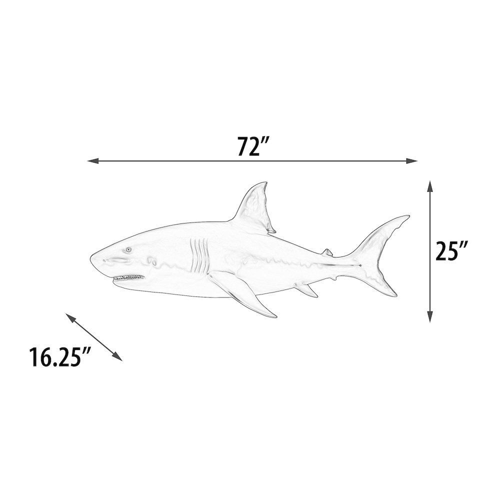 Wall Mounted Great White Shark 6ft. Picture 5