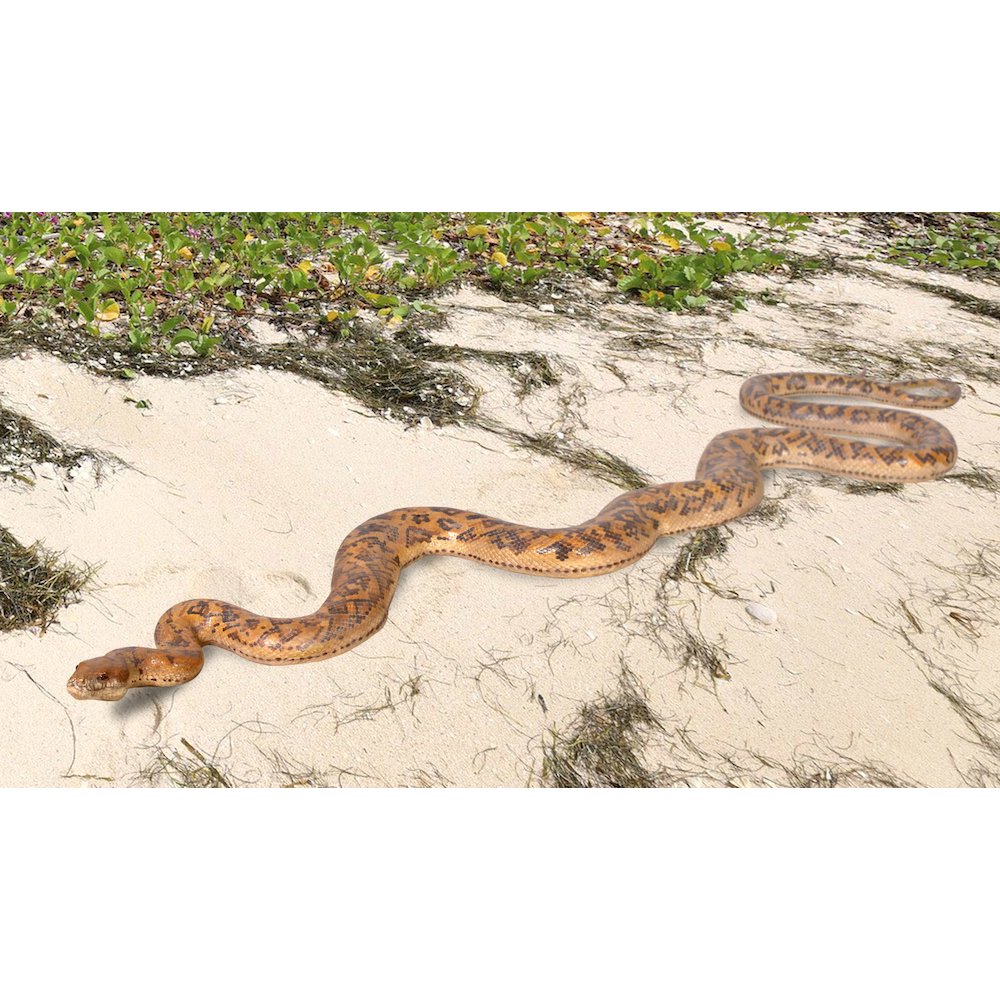 Python Snake 99.5" Long. Picture 6