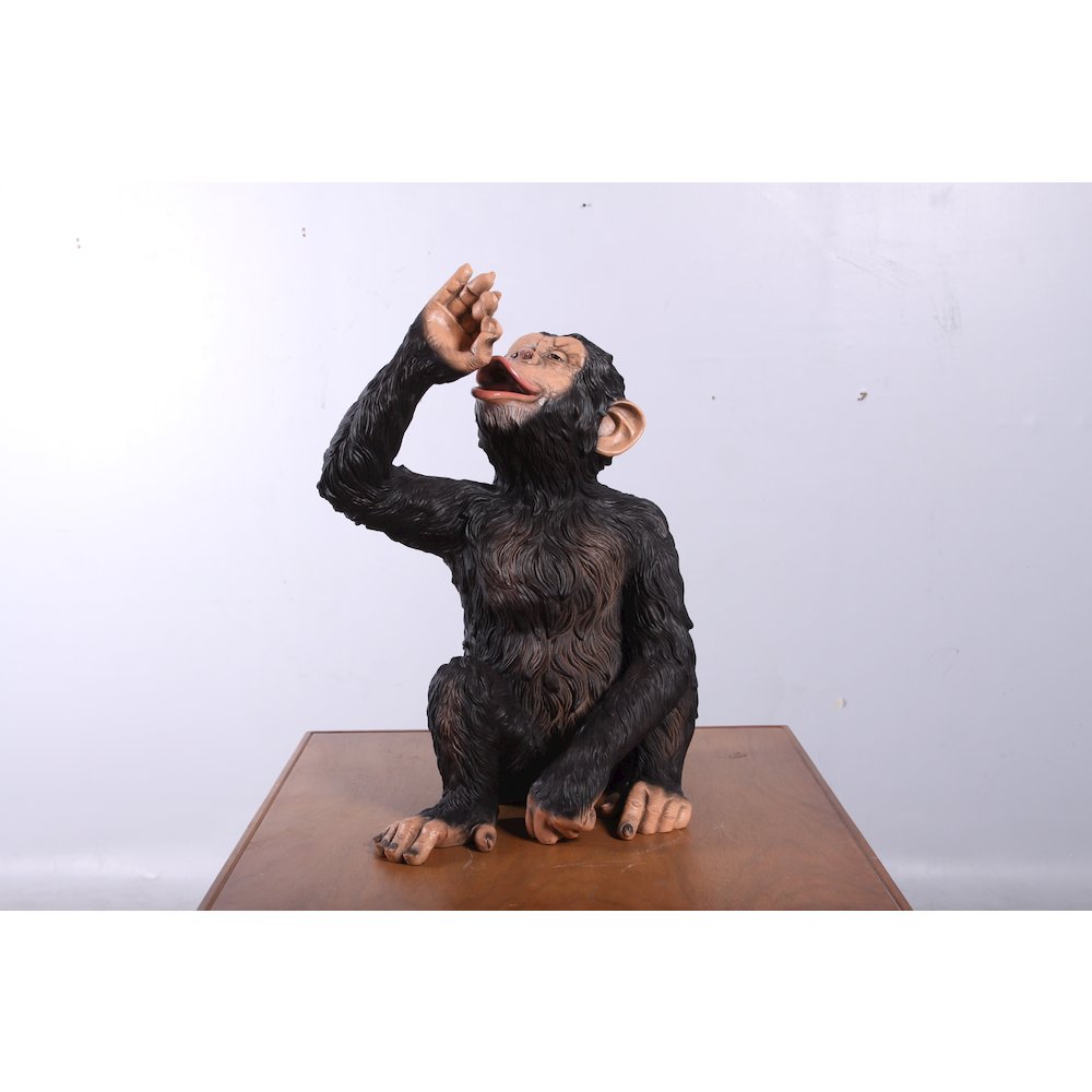Boozy Chimp Bottle Holder. Picture 7