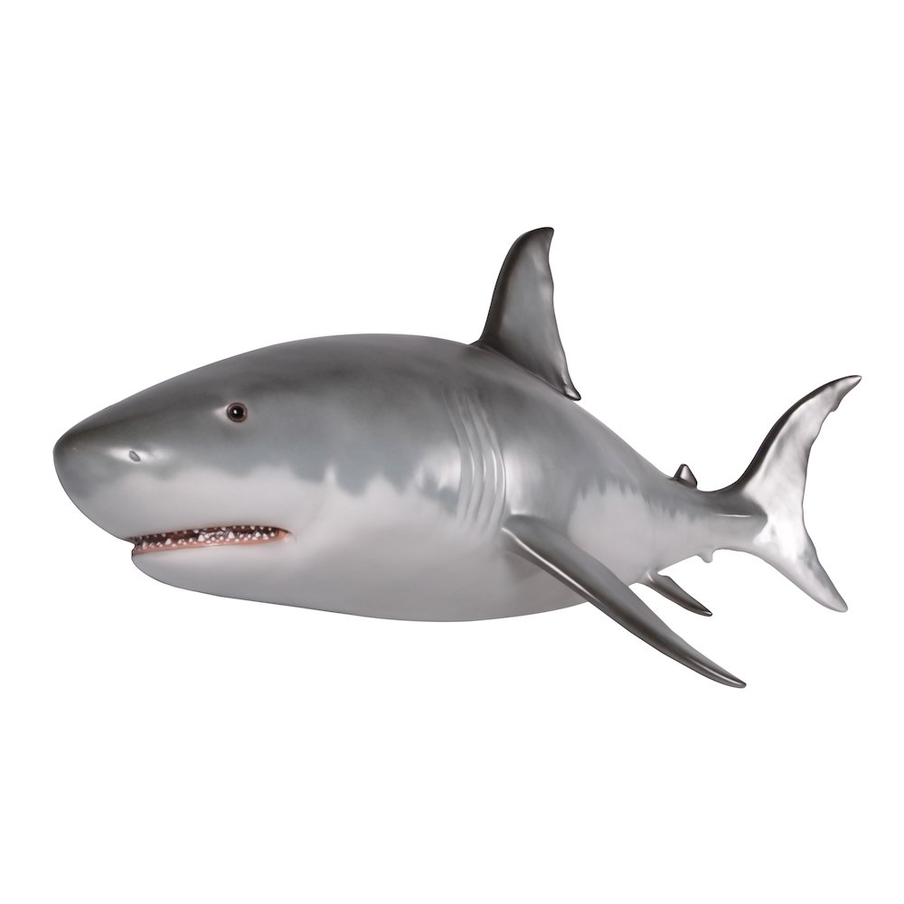 Wall Mounted Great White Shark 6ft. Picture 6