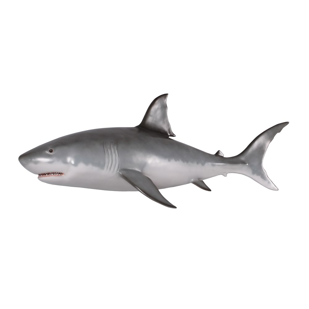 Wall Mounted Great White Shark 6ft. Picture 7