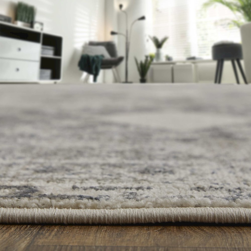 Kano Transitional Distressed, Ivory/Taupe/Gray, 4'-3" x 6'-3" Accent Rug. Picture 8