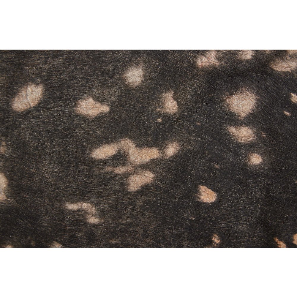 Ellyse Transitional Animal Print, Brown, Large Shaped Rug. Picture 6