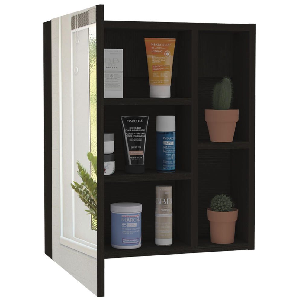 Andes Medicine Cabinet With Mirror Black Wengue. Picture 4