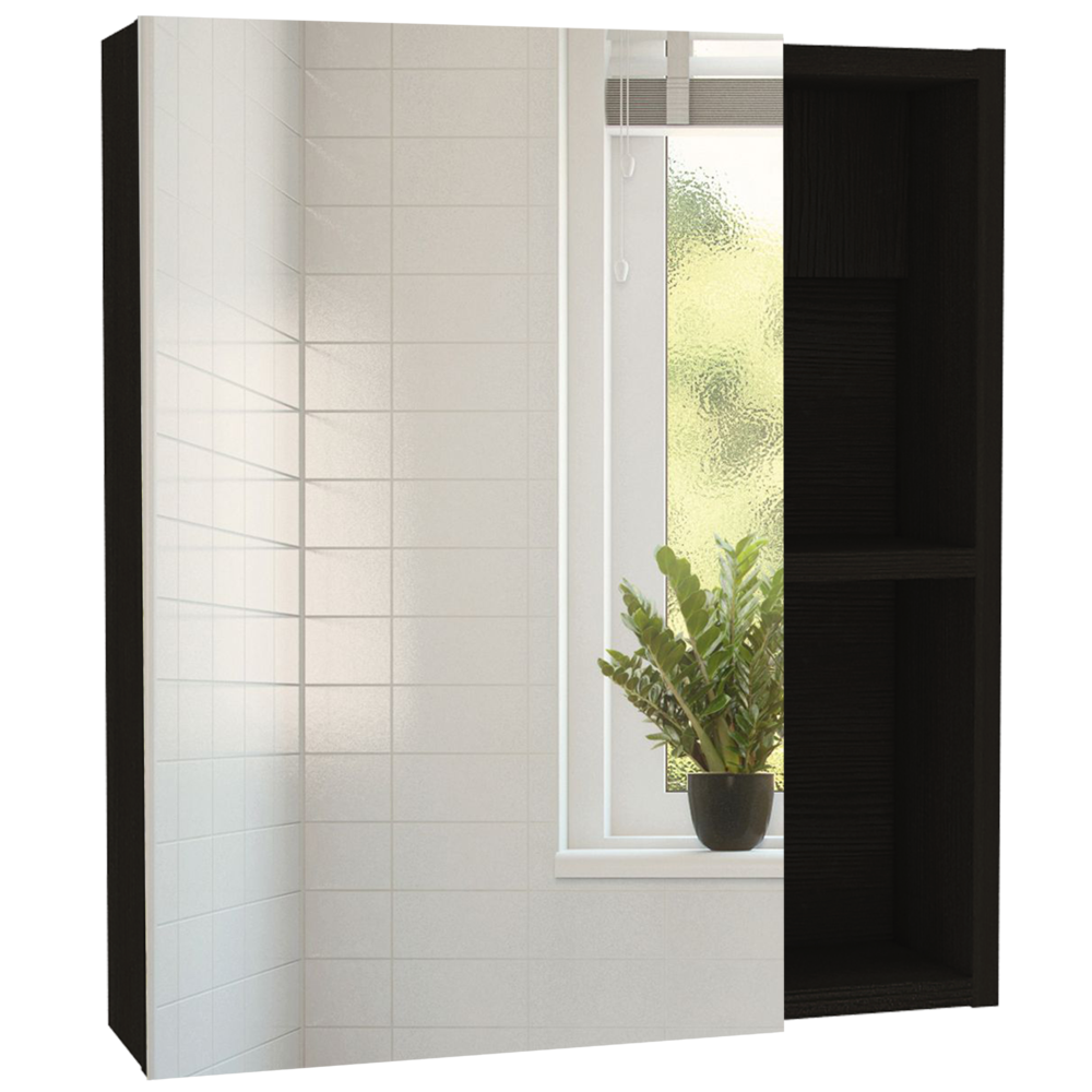 Andes Medicine Cabinet With Mirror Black Wengue. Picture 1