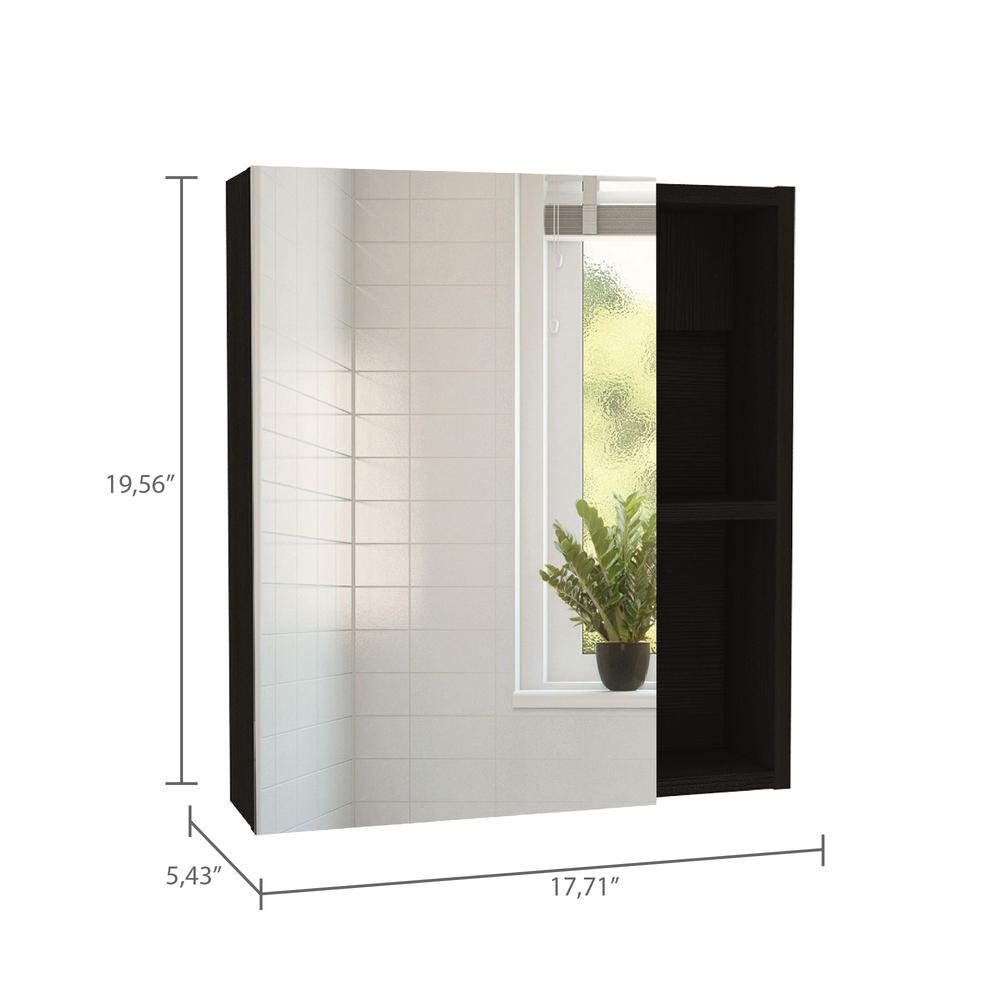 Andes Medicine Cabinet With Mirror Black Wengue. Picture 5