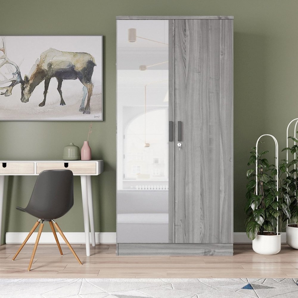 2 Doors Wardrobe Mirrored Door. Picture 3