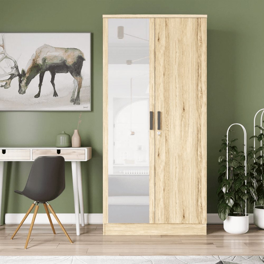 Mirrored 2 Door Wardrobe in Multi Color. Picture 1
