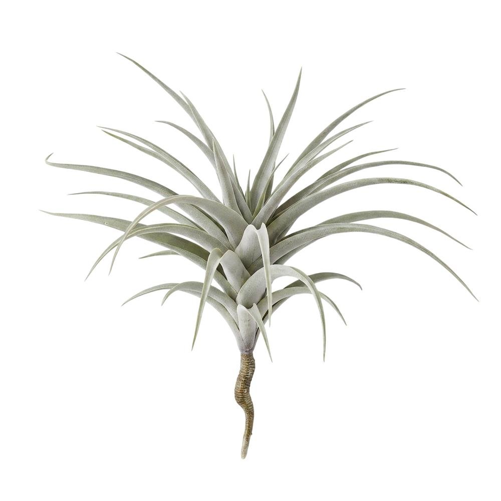 Giant Artificial Airplant. Picture 1