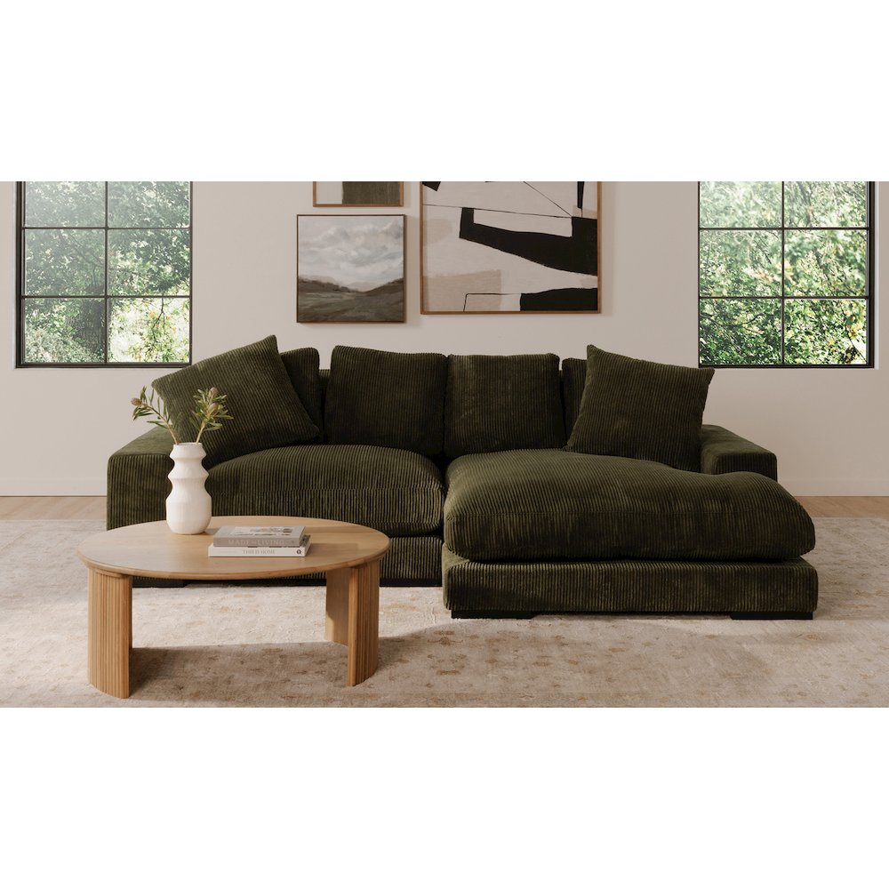 Plunge Sectional. Picture 2
