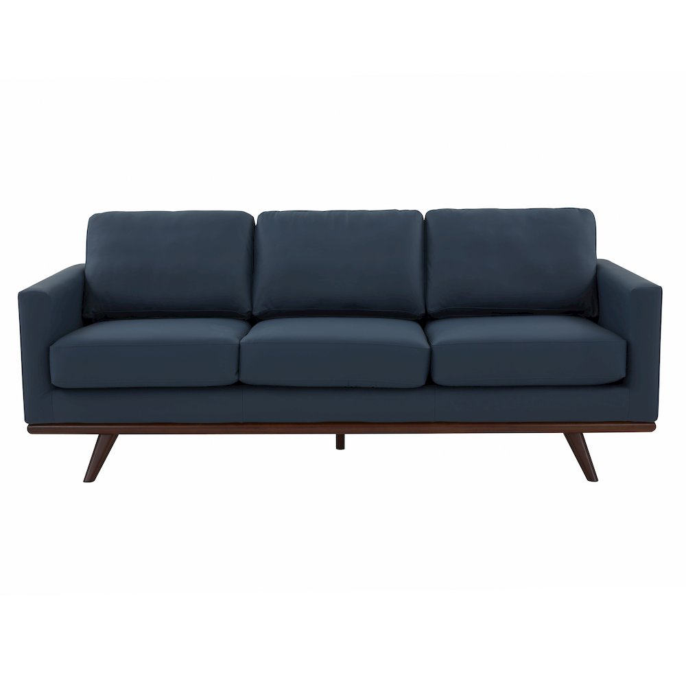 Chester Modern Leather Sofa With Birch Wood Base. Picture 8