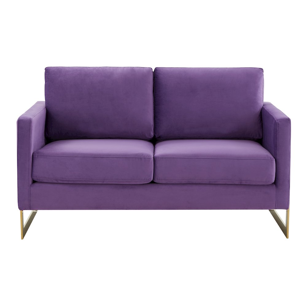 Lincoln Modern Mid-Century Upholstered Velvet Loveseat with Gold Frame. Picture 5
