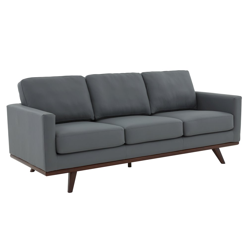 Chester Modern Leather Sofa With Birch Wood Base. Picture 1