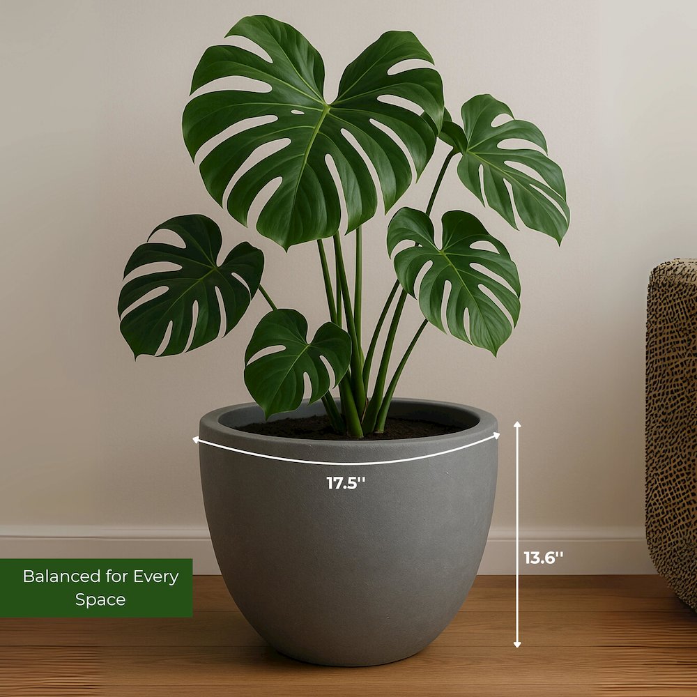 Dahlia Series Poly Stone Planter in Aged Concrete 17.5 Dia, 13.6 High. Picture 20
