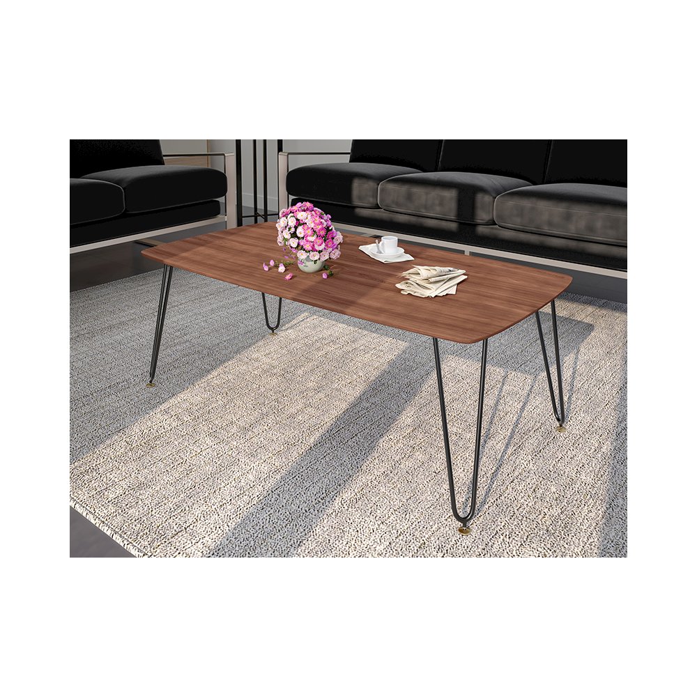 Elmwood Modern Wood Top Coffee Table With Iron Base. Picture 15