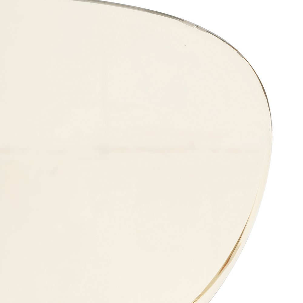 Modern Oyster Transparent Side Chair in Black Base. Picture 12