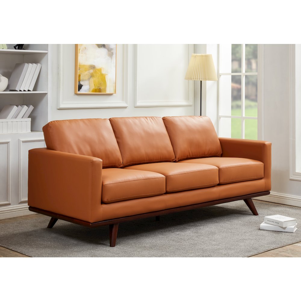 Chester Modern Leather Sofa With Birch Wood Base. Picture 8