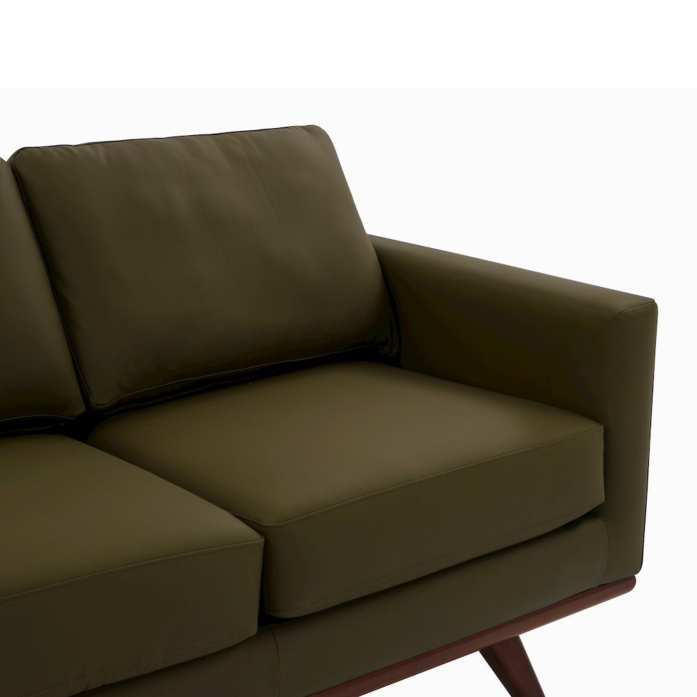 Chester Modern Faux Leather Sofa in Green Leather. Picture 1