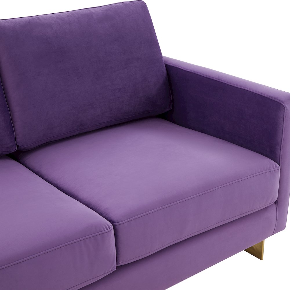 Lincoln Modern Mid-Century Upholstered Velvet Loveseat with Gold Frame. Picture 6