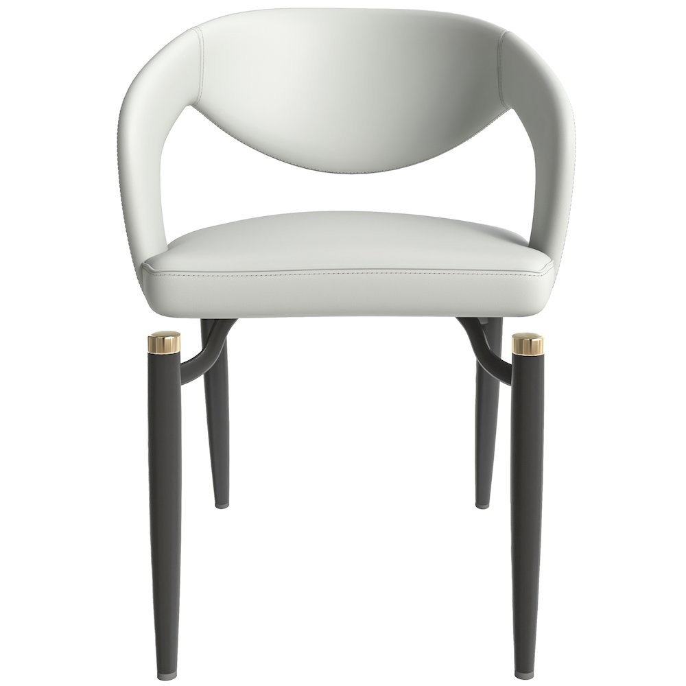 Entice Collection Modern Dining Chair in Grey. Picture 14