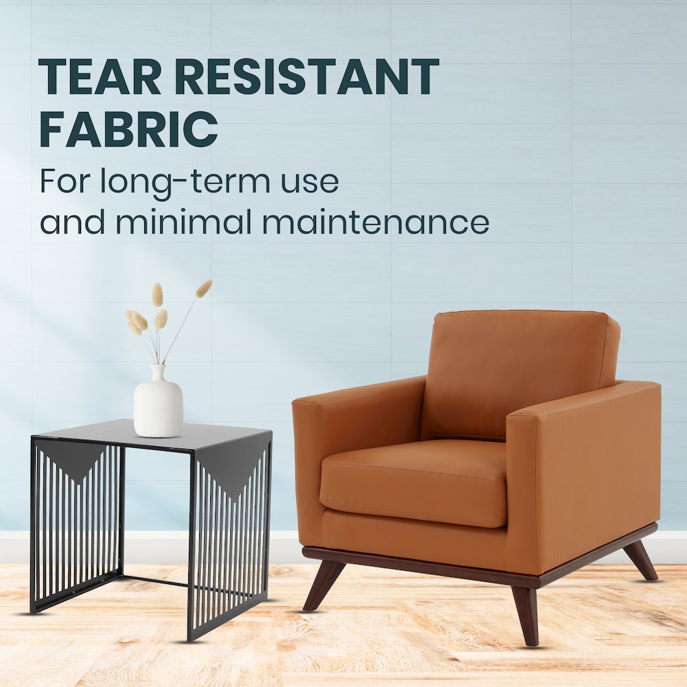 Chester Modern Leather Accent Arm Chair With Birch Wood Base. Picture 2