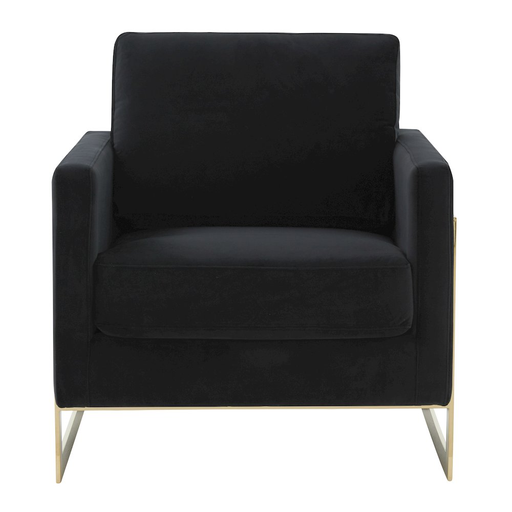 Lincoln Velvet Accent Armchair With Gold Frame. Picture 5