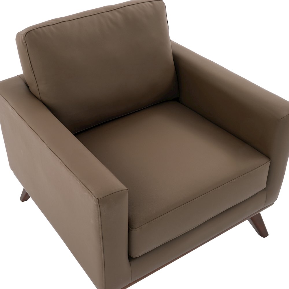 Chester Modern Faux Leather Accent Arm Chair in Taupe Leather. Picture 12
