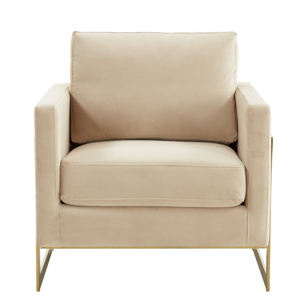 Lincoln Velvet Accent Armchair With Gold Frame. Picture 5