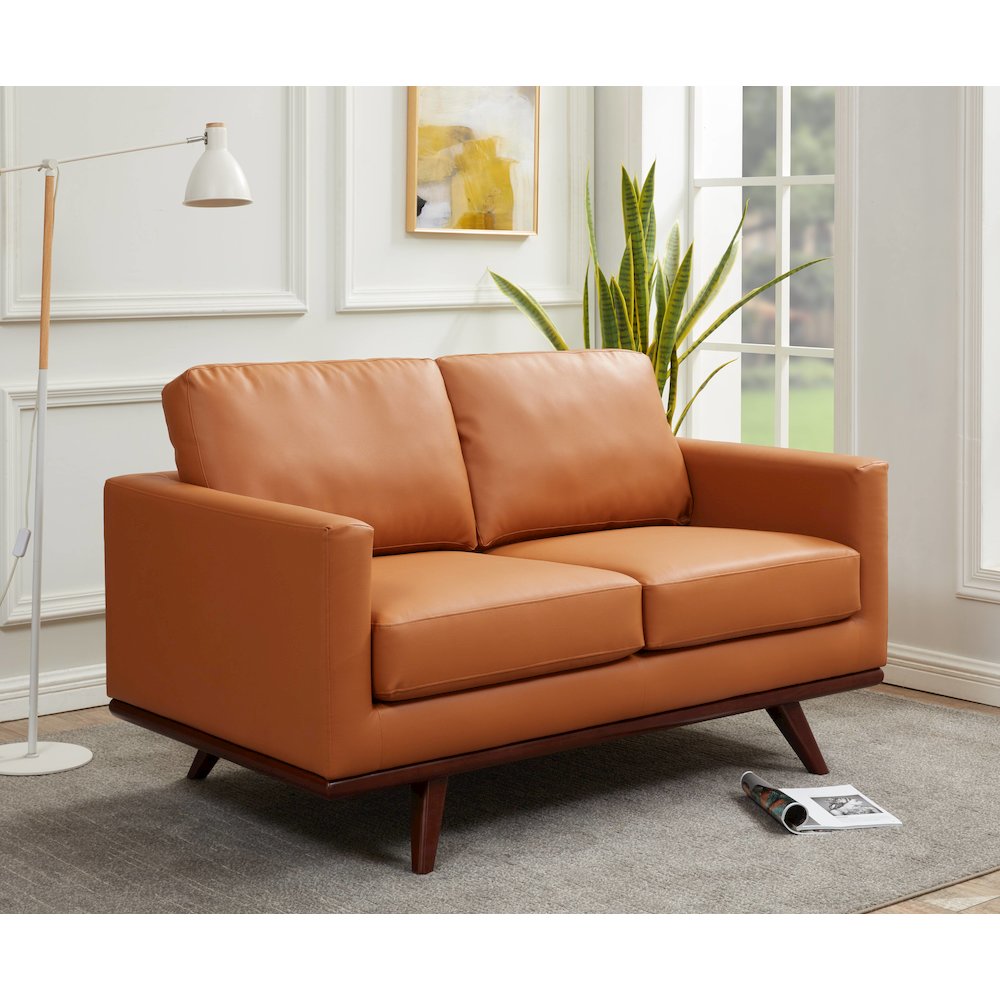 Chester Modern Leather Loveseat With Birch Wood Base. Picture 7