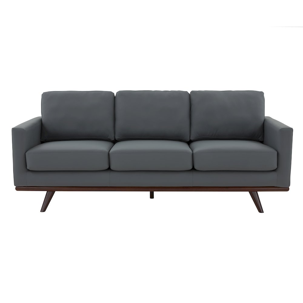 Chester Modern Leather Sofa With Birch Wood Base. Picture 9