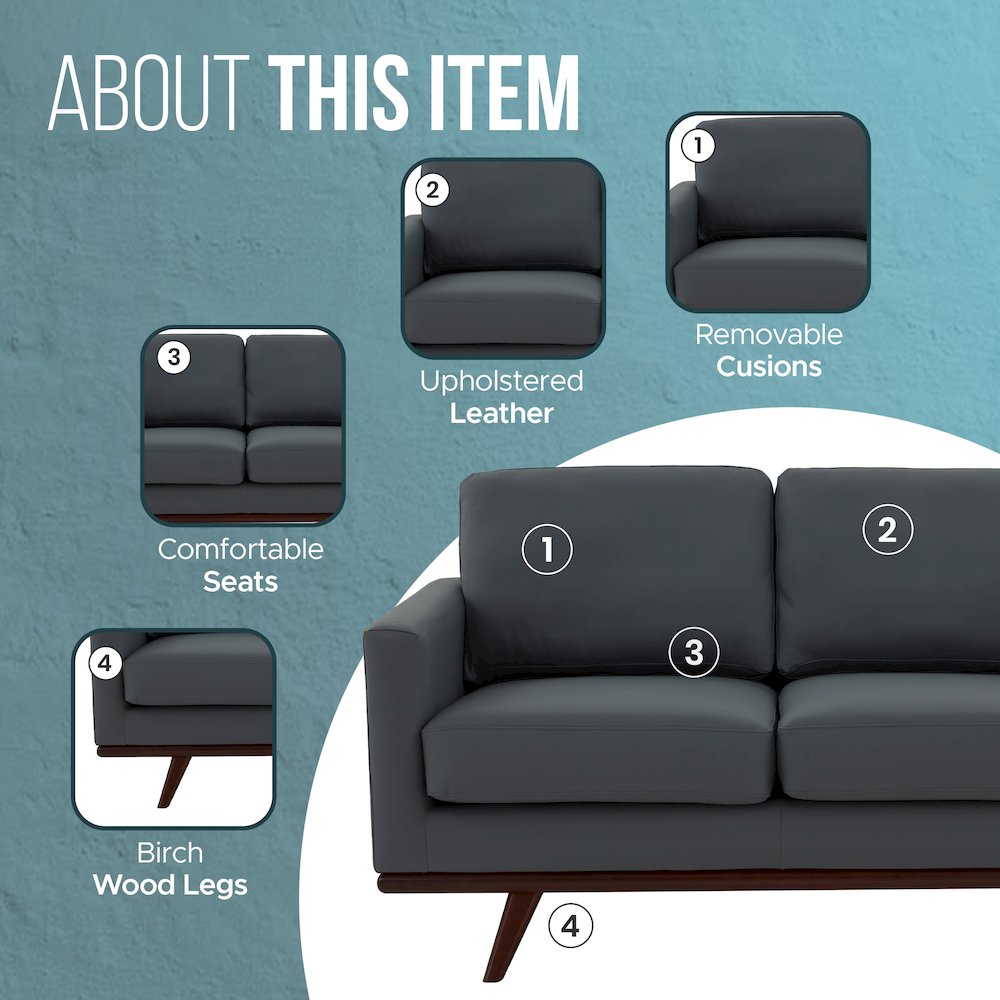 Chester Modern Leather Loveseat With Birch Wood Base. Picture 6