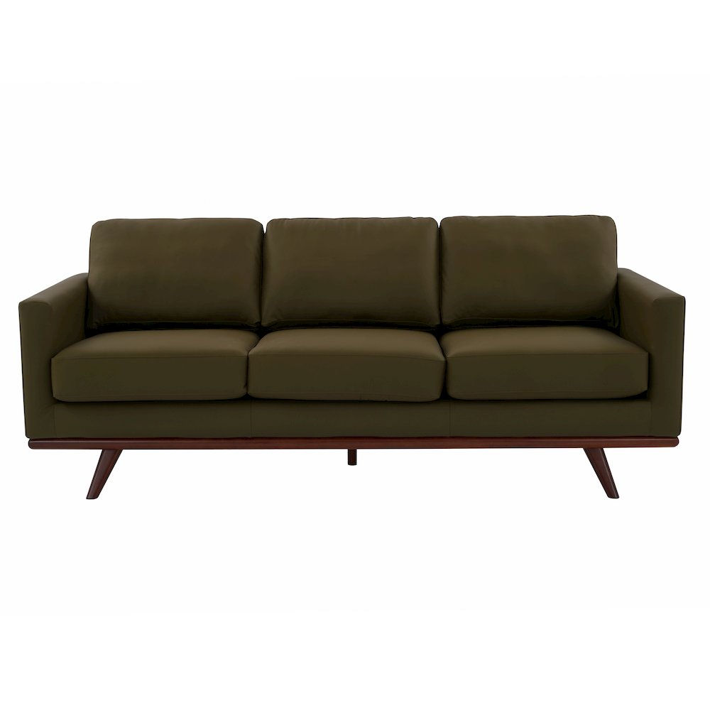Chester Modern Faux Leather Sofa in Green Leather. Picture 9