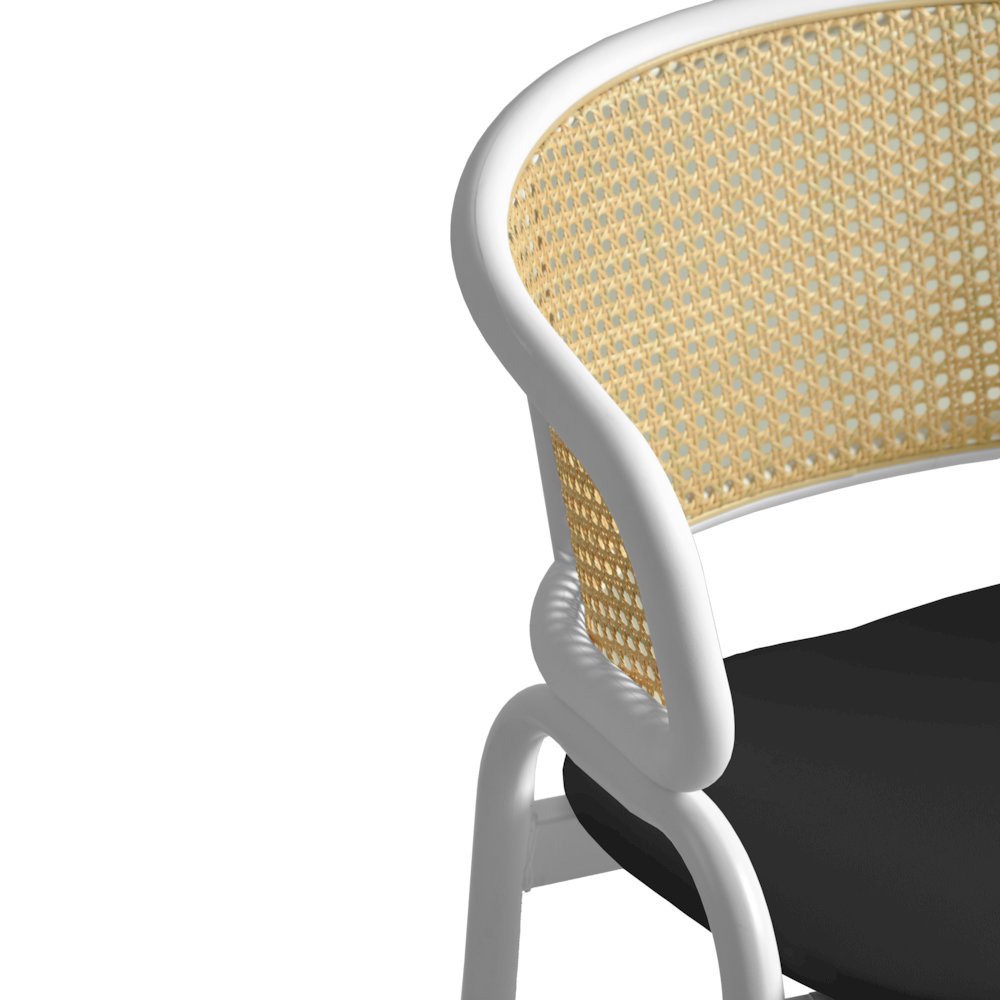 Ervilla - Dining Chair - White frame in Black Leather. Picture 16