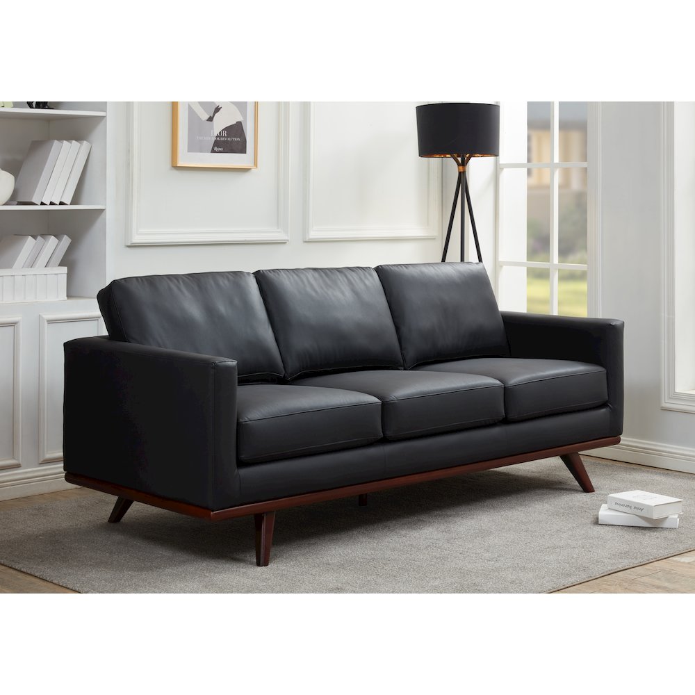 Chester Modern Leather Sofa With Birch Wood Base. Picture 7